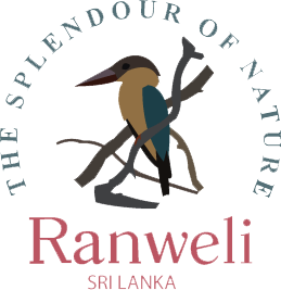 Ranweli