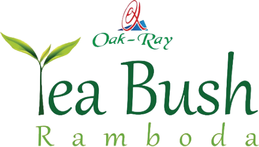 Tea Bush Ramboda