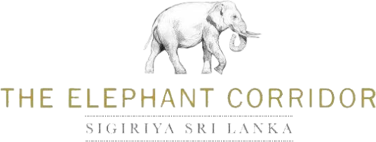The Elephant Corridor