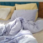 Bed Bugs : How Can You Shield Your Bed From It ?