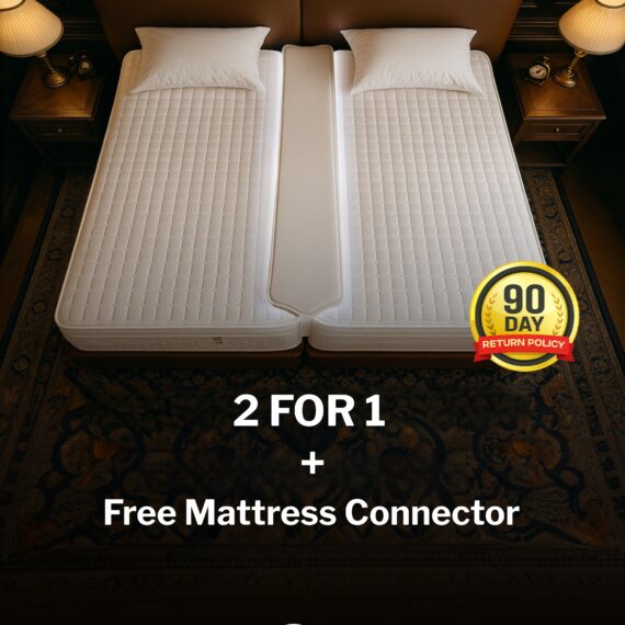 SINGLES DEAL | Four Seasons : Premium Pocket 12″